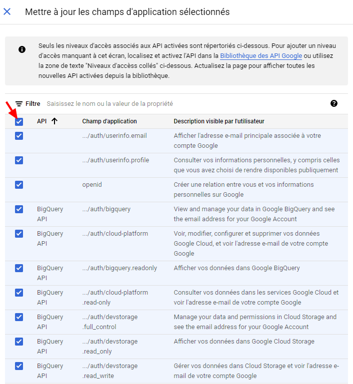 Image : Google Config - Champs de niveaux d&#39;accès consentement